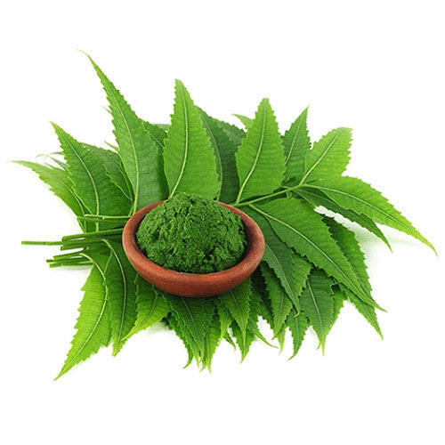 Benefits Of Eating Neem Leaves On An Empty Stomach